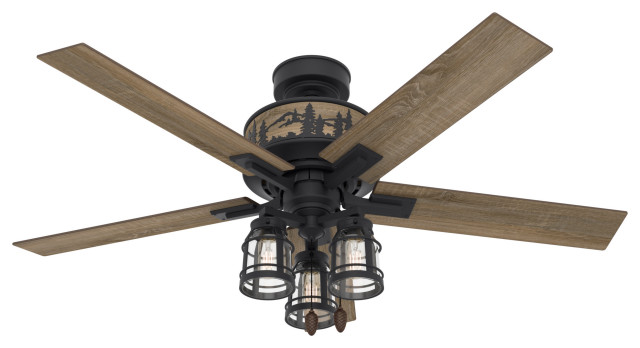 Hunter 52" Mt. Vista Ceiling Fan, Natural Iron With LED Light and Pull ChainNone