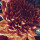 Last commented by leesh7