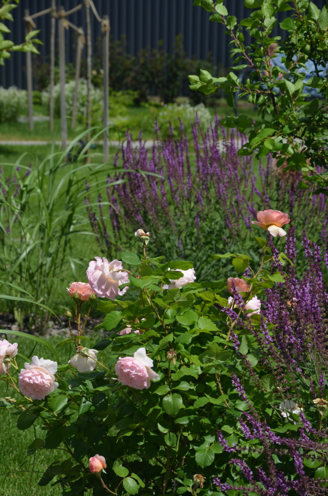 Мягкий и пушистый