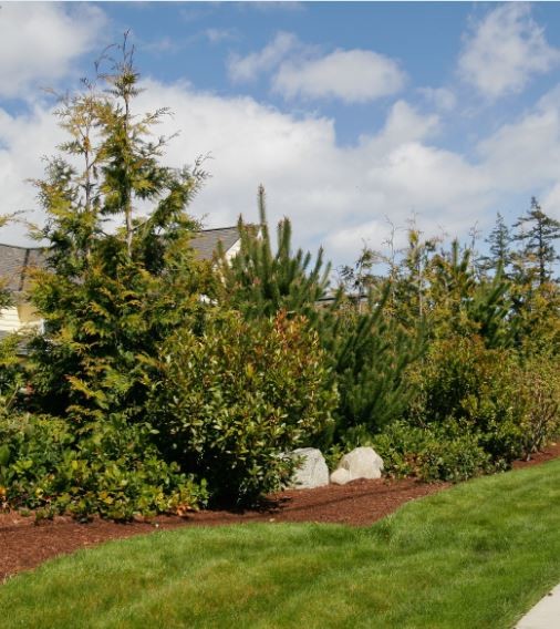 LANDSCAPE DESIGN & INSTALLATION