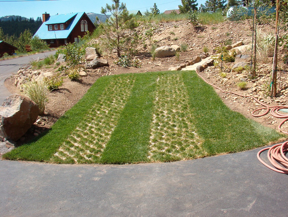 This is an example of a mid-sized contemporary front yard driveway in Other with concrete pavers.