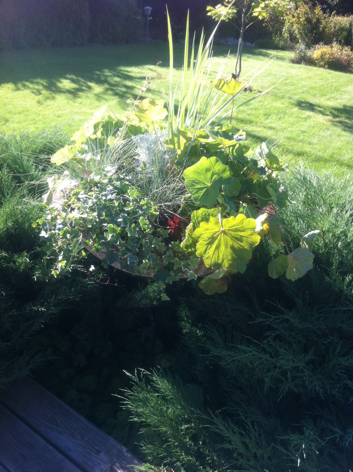 Уличные кашпо