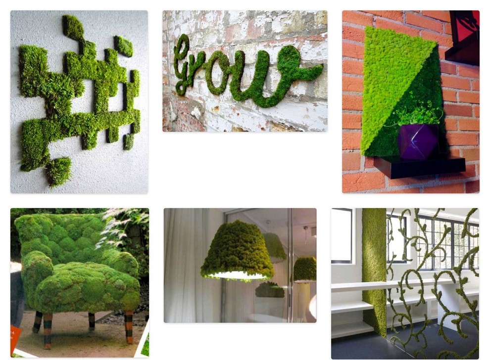 Мох в интерьере