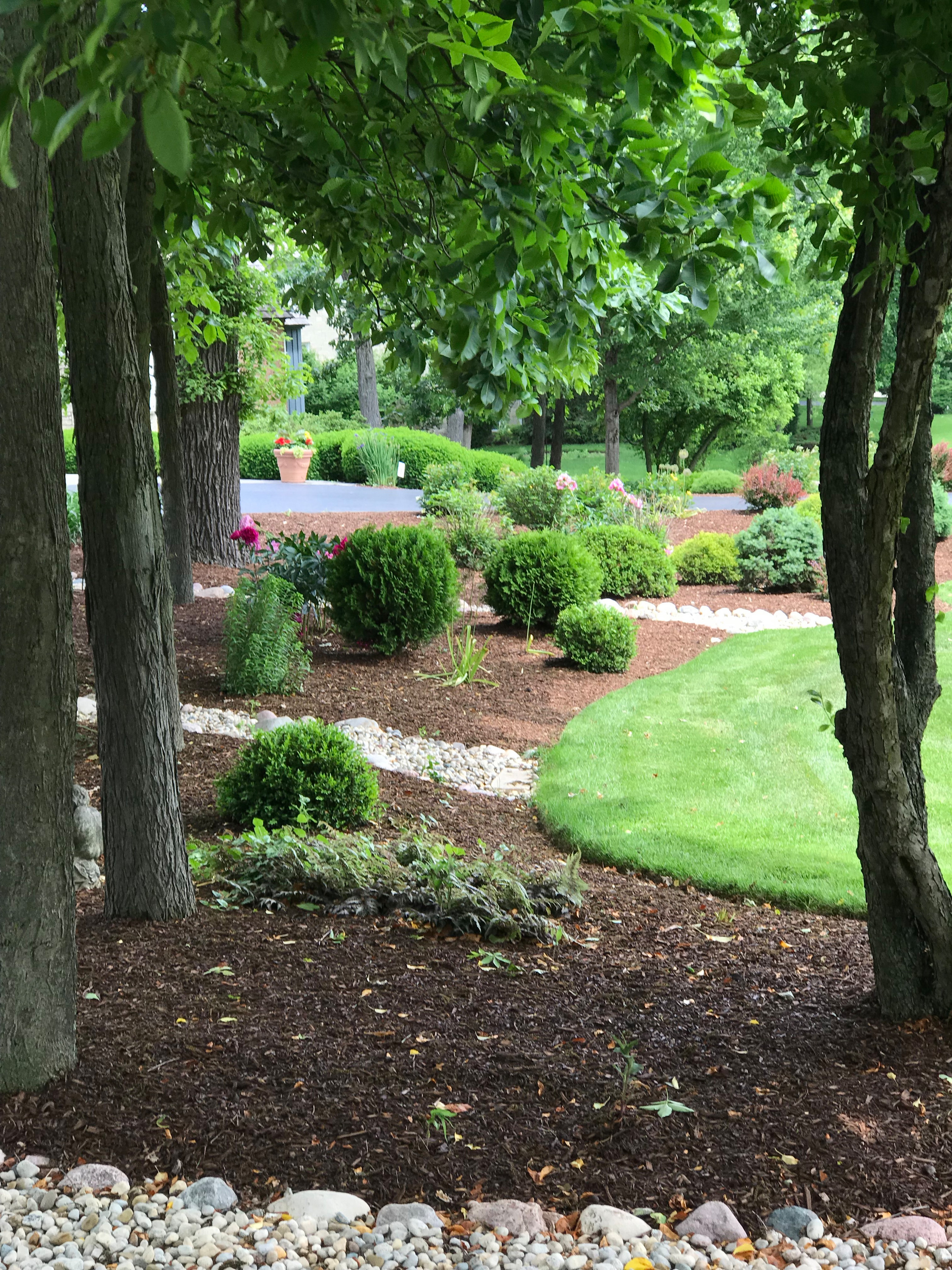Garden Restoration- Before and After