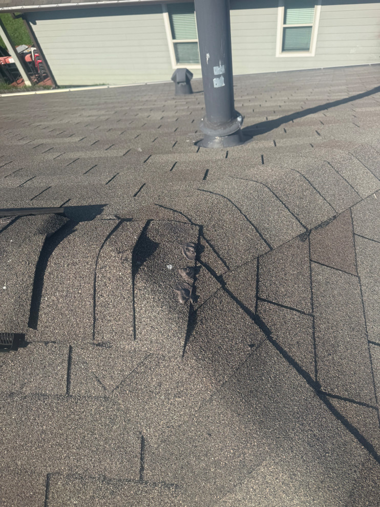 Roof Tune Up