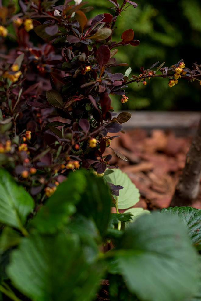 "На Дачу" к Татьяне Веденеевой