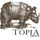 Topia Group, pllc
