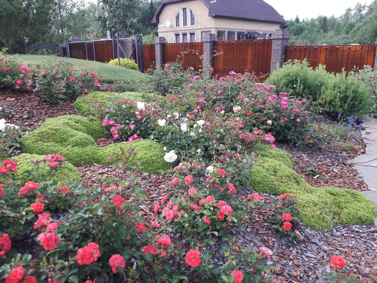 Сад  на холмах