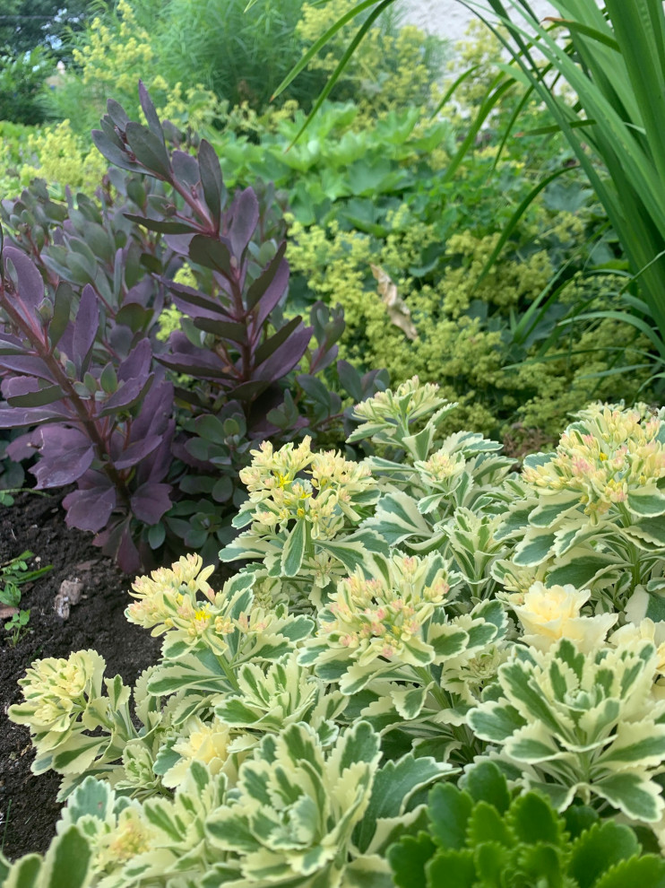 Saint Paul Tudor Garden
