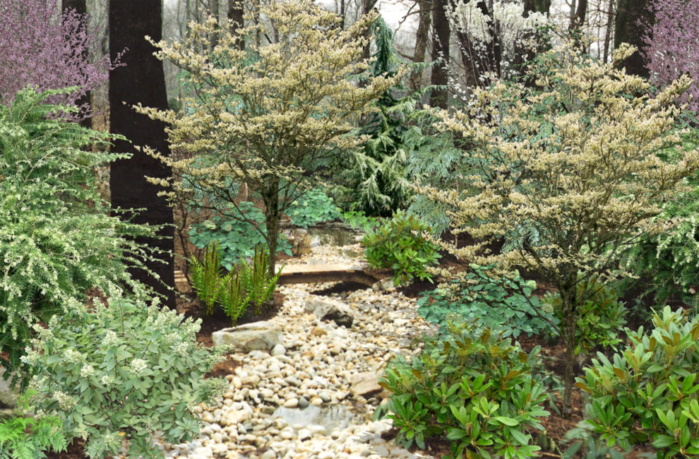 Japanese Garden