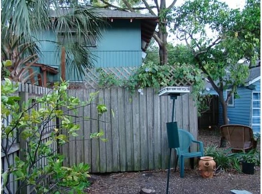 Garden Q&A: Help! My neighbor's bamboo is invading my yard