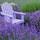 sheila_webb4542619