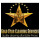 Gold Star Cleaning Services LLC