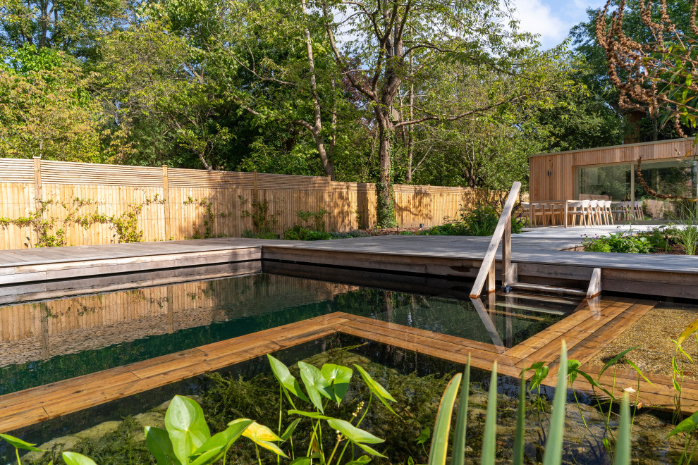 Dulwich Natural Pool - Contemporary - Swimming Pool & Hot Tub - London ...