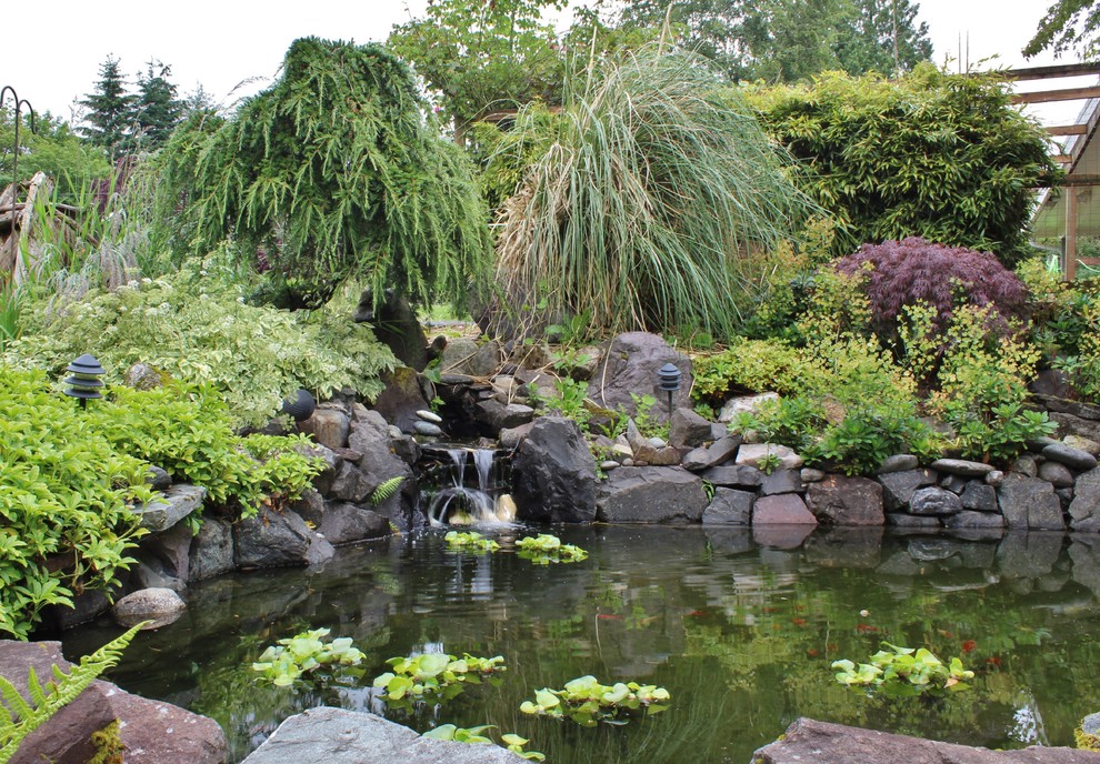 Photo of a country garden in Seattle.