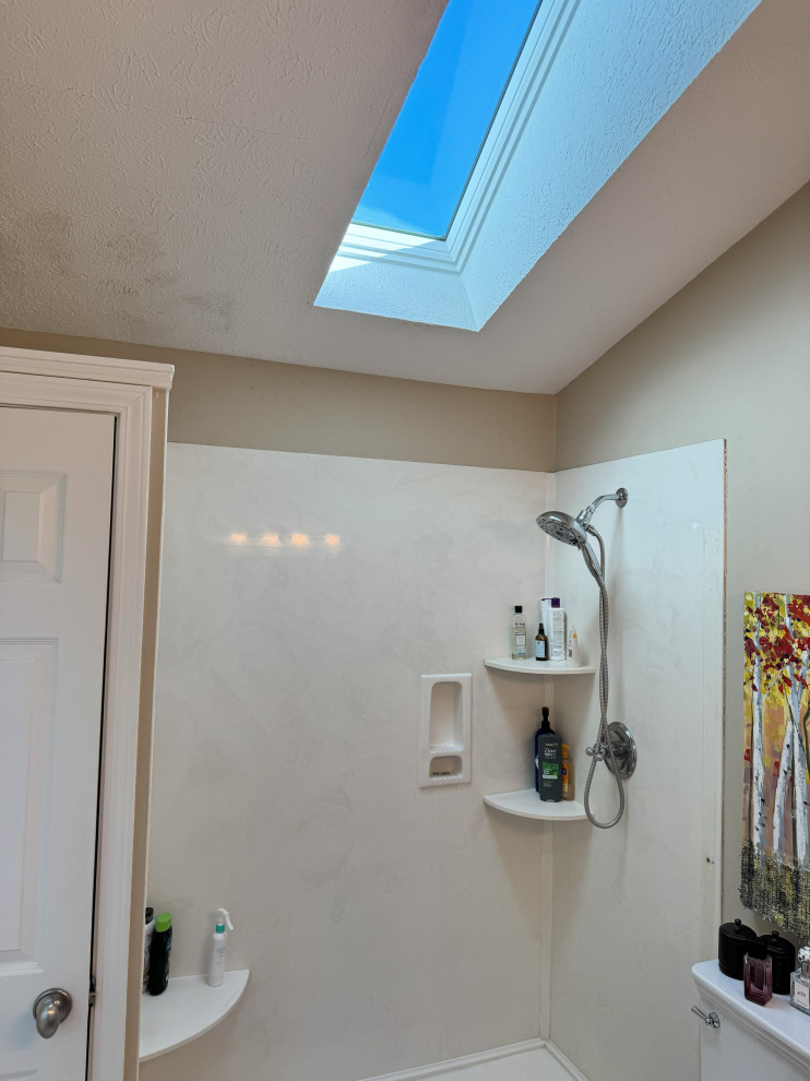 Brighton Woods Master Bathroom Remodel