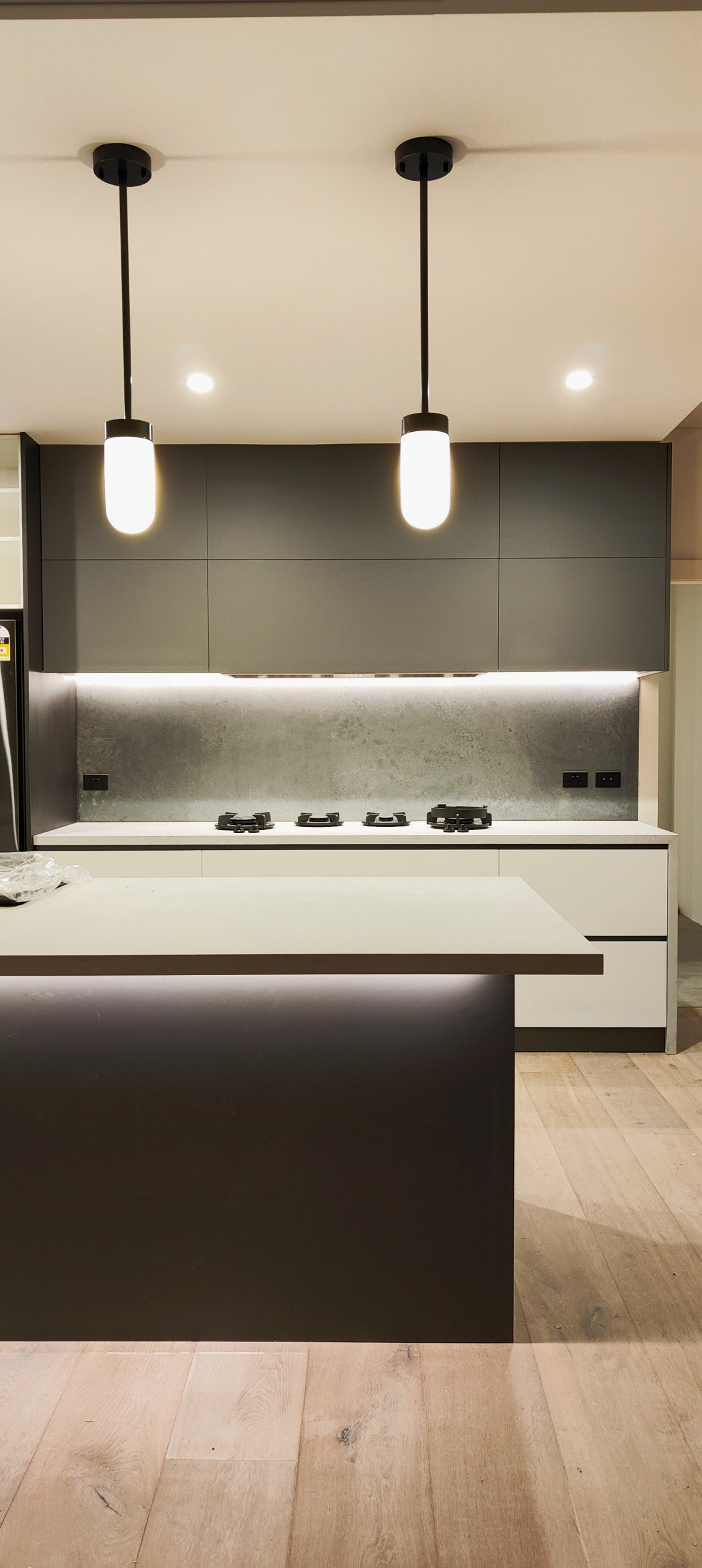 Castlecrag Modern Kitchen