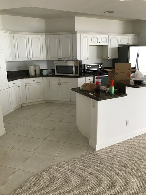 White Contemporary Kitchen 