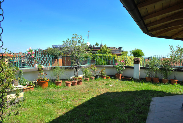 Fiordalisi terrasse