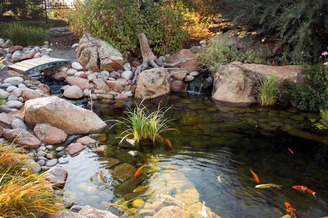 Rustic Water Feature Greeley rustic-garden
