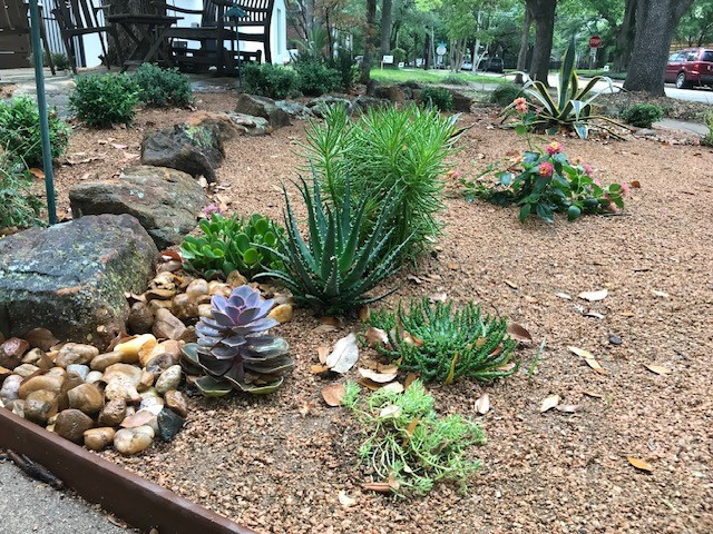 Xeriscape-Drought Tolerant