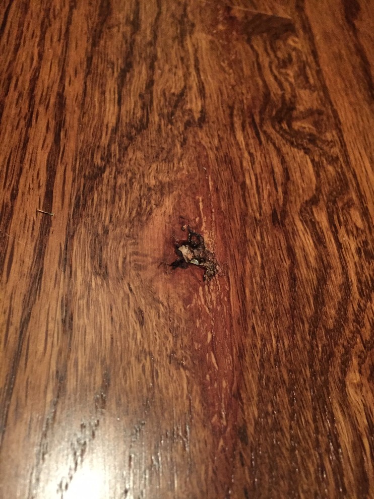 Knotty holes in hardwood flooring
