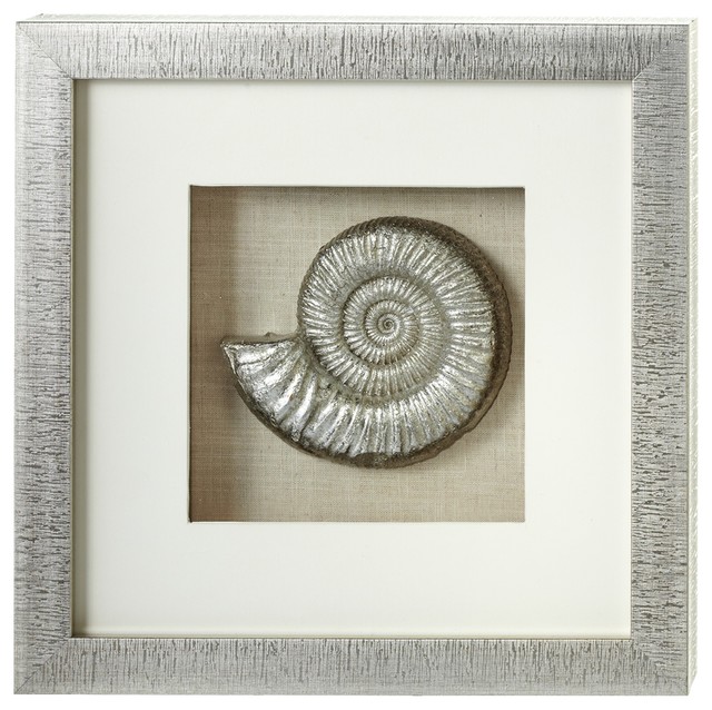 Nautilus Shell Shadow Box Wall Decor Contemporary Accents Nautilus Shell Shadow Box Wall Decor