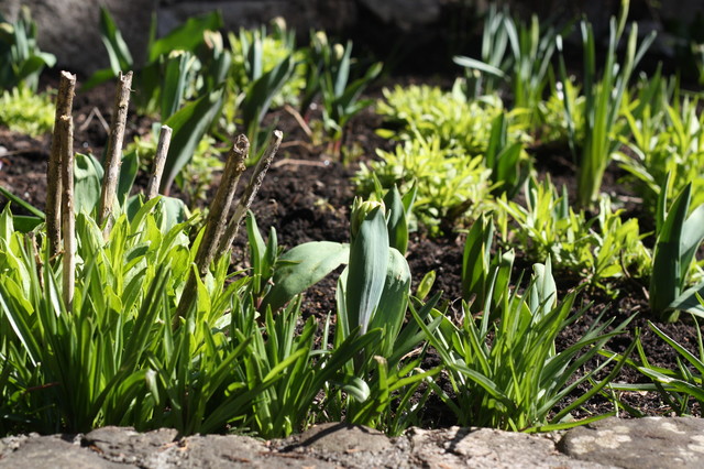Brookside Garden modern-garten