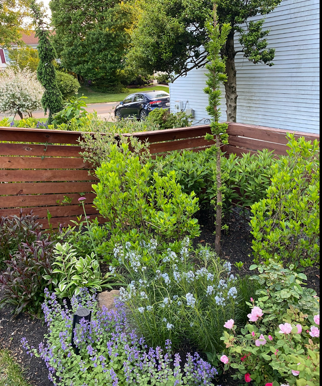 Love Your Garden