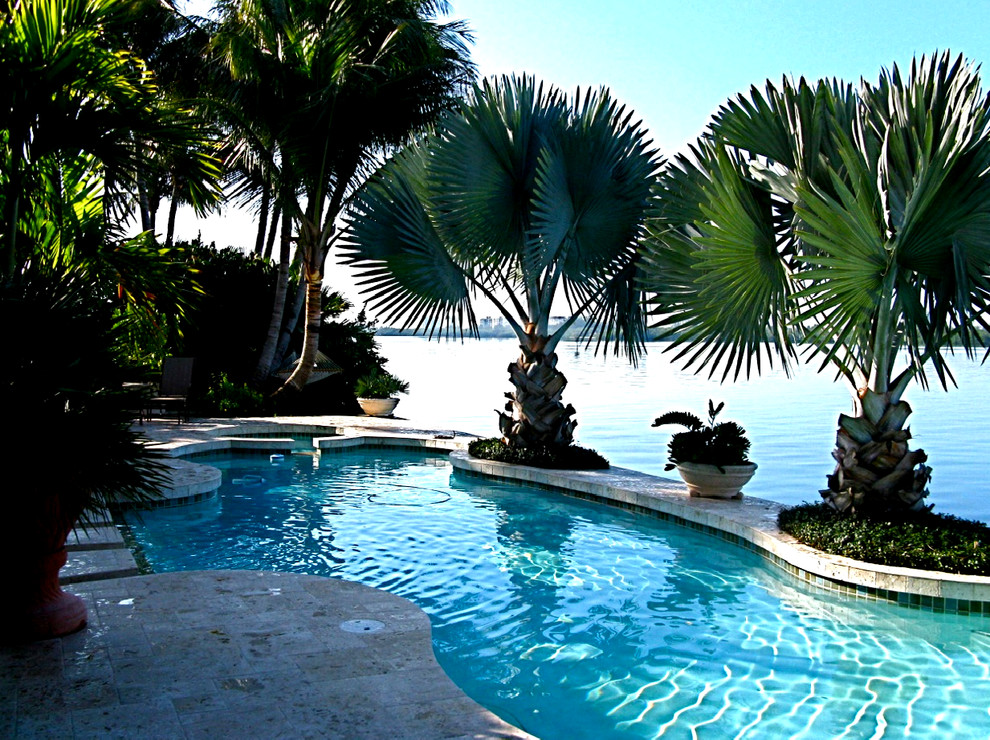 Inspiration for a tropical pool in Tampa.