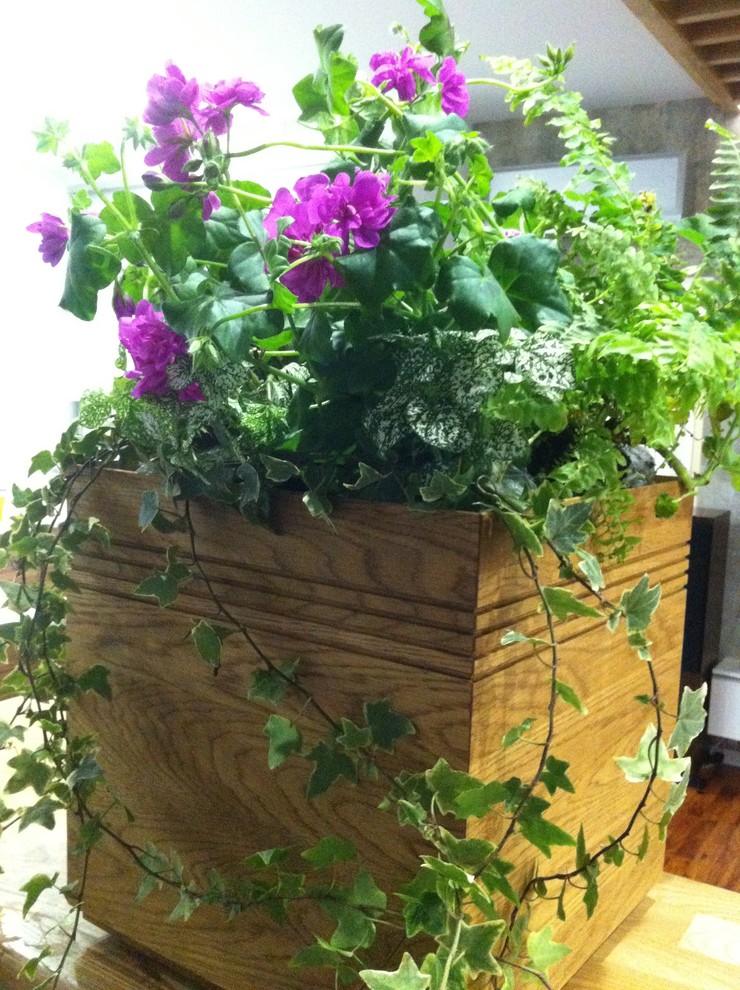 Контейнерное озеленение