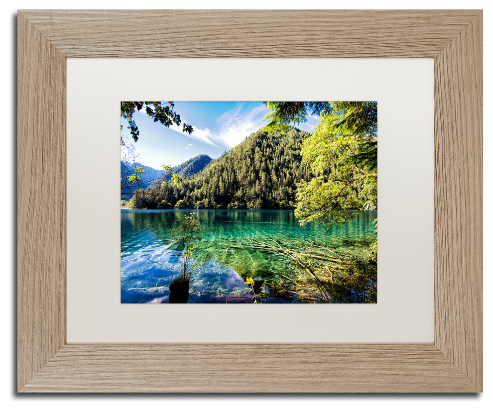 Philippe Hugonnard Tiger Lake Art Contemporary Photographs By Trademark Global