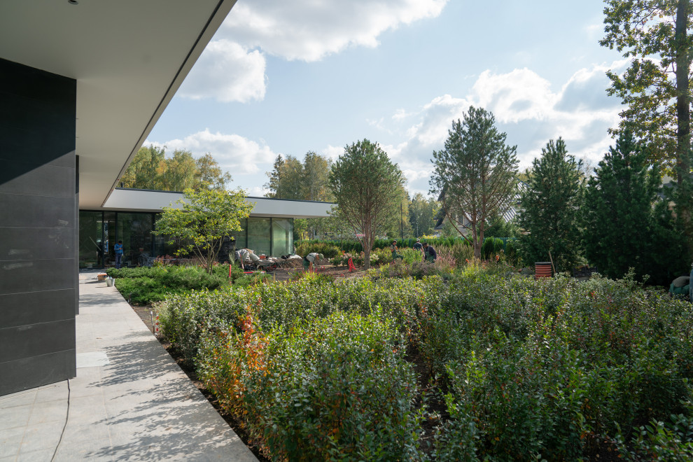 Антоновка. 30 соток. 2023 г.