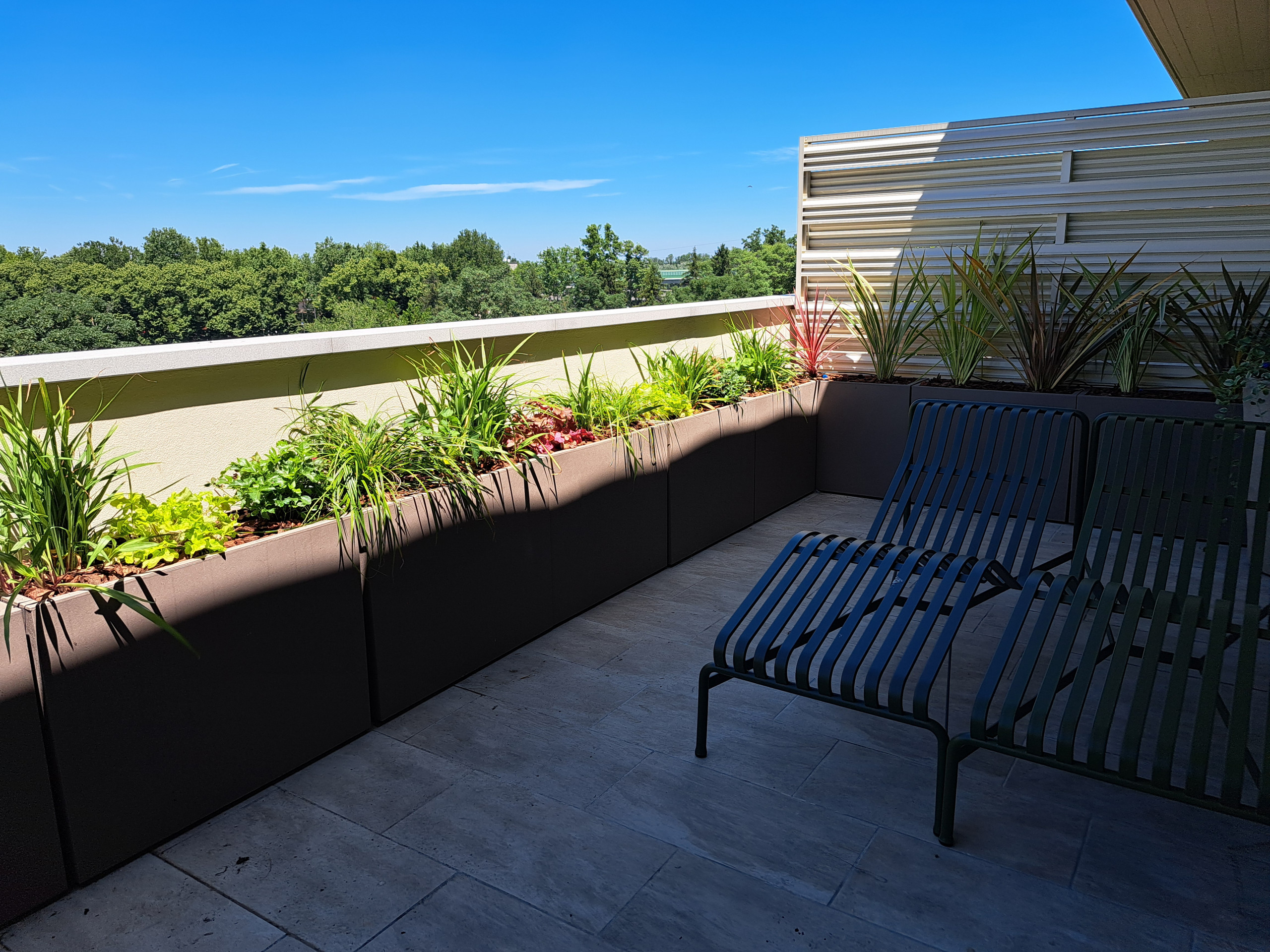 Realizzazione fioriere e vasi per un terrazzo sempreverde (o quasi)