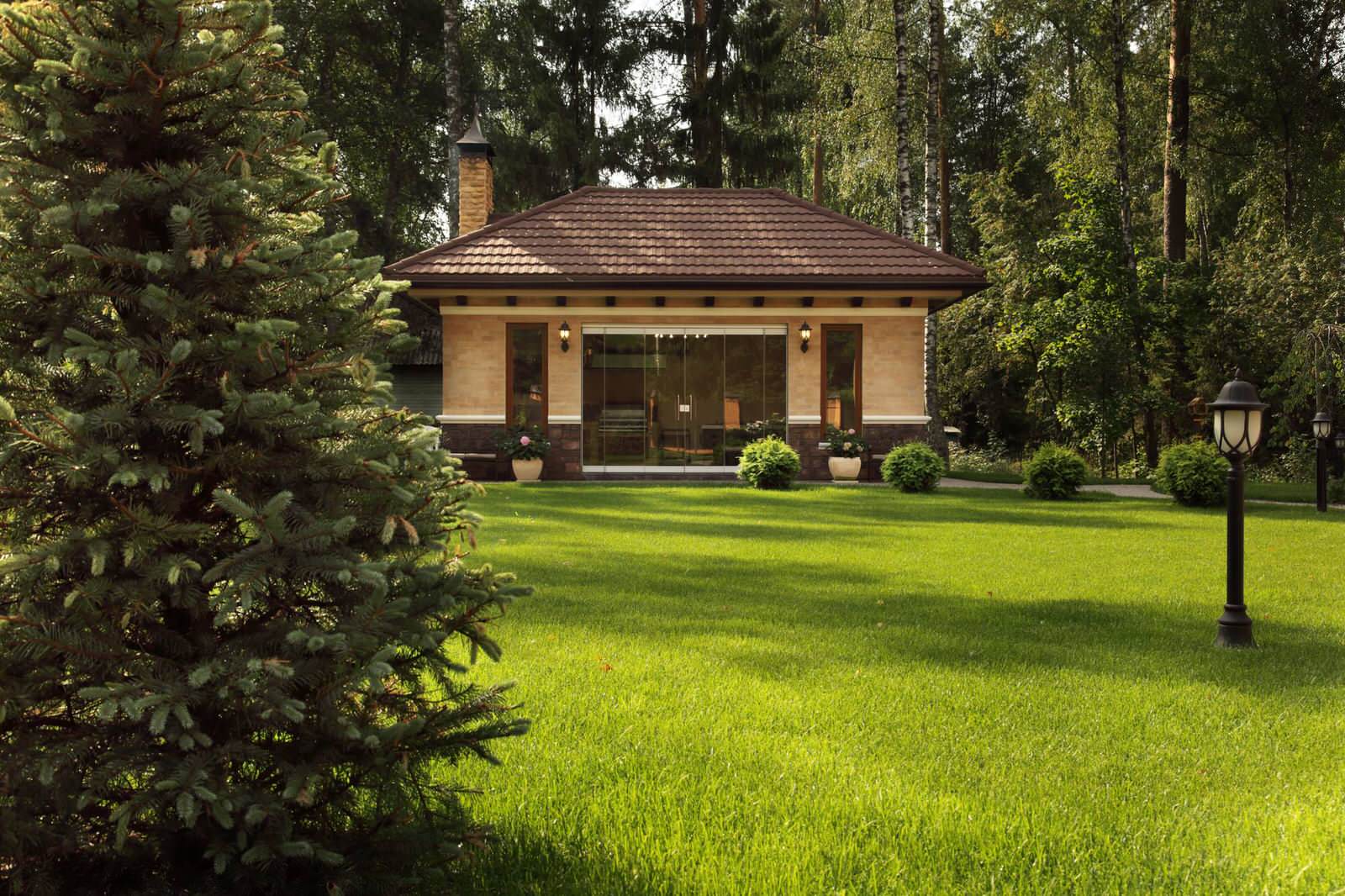 Заветы Ильича