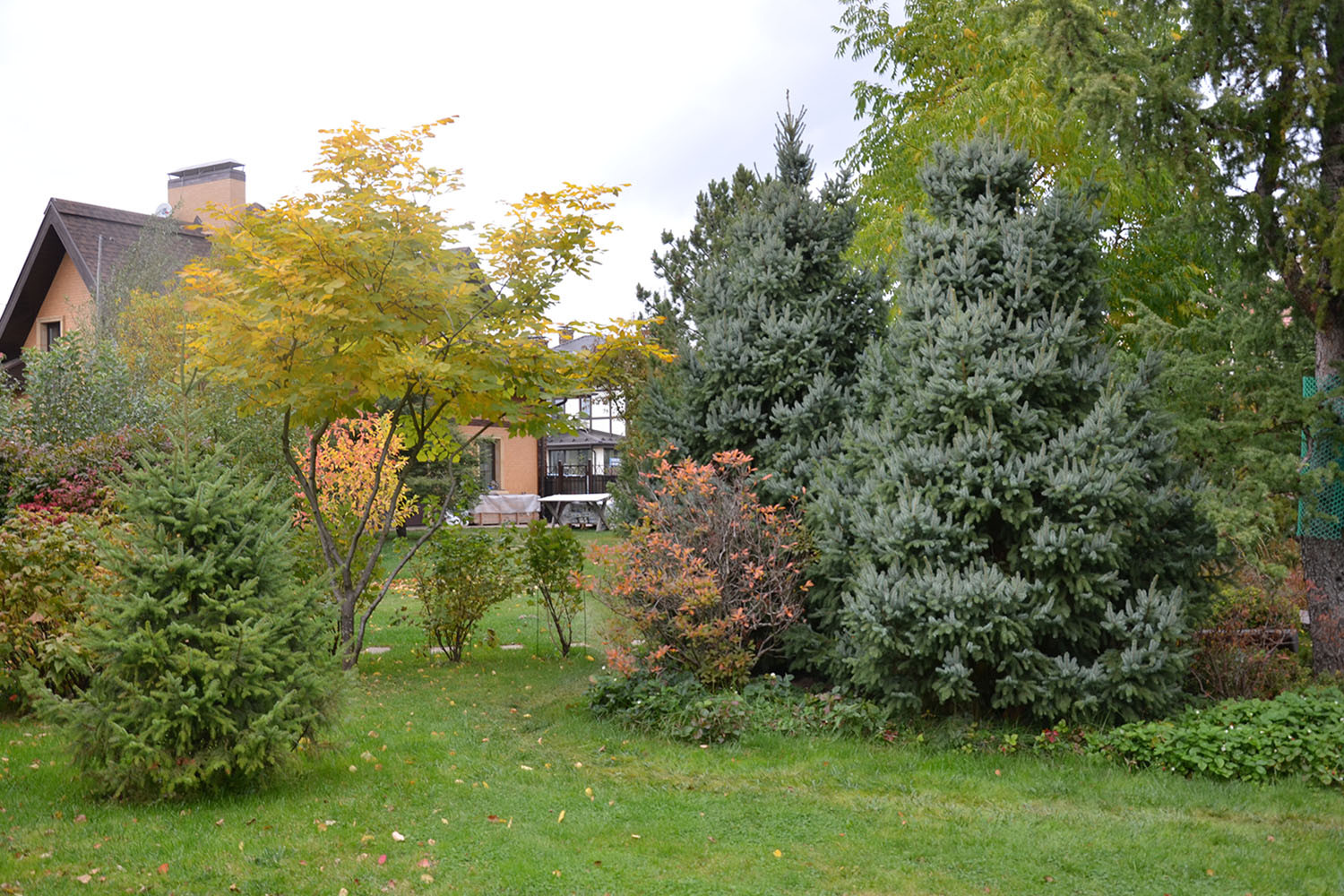 Ландшафтный сад с прудом в КП "Европа"