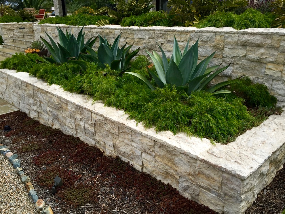 Inspiration for an expansive contemporary backyard full sun xeriscape in San Diego with a retaining wall and mulch.