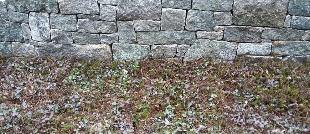 This is an example of a mid-sized rustic front yard stone formal garden.