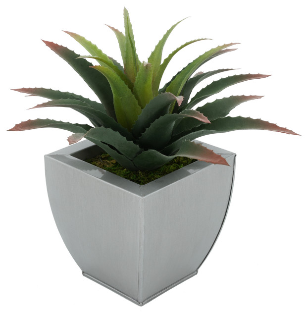 Faux Star Succulent in Tapered Zinc Pot, Silver