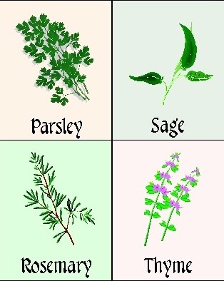 herbs with names on {keyword}