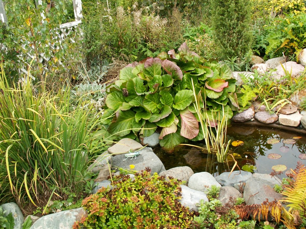 Тропинка в прошлое