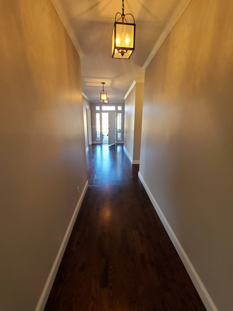 На фото: коридор среднего размера в современном стиле с коричневыми стенами, темным паркетным полом, коричневым полом, потолком с обоями и обоями на стенах