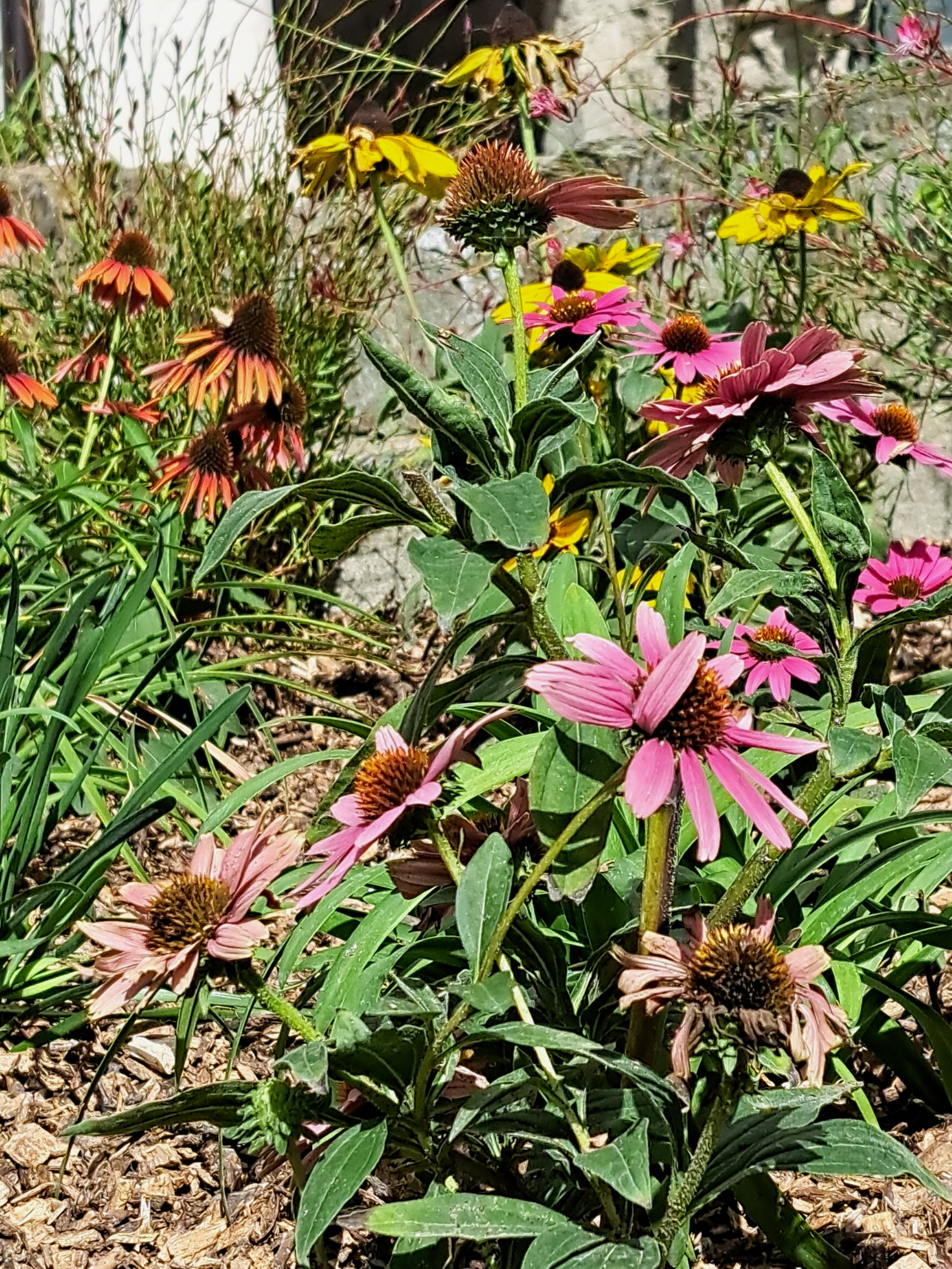 Un giardino sulle colline pavesi