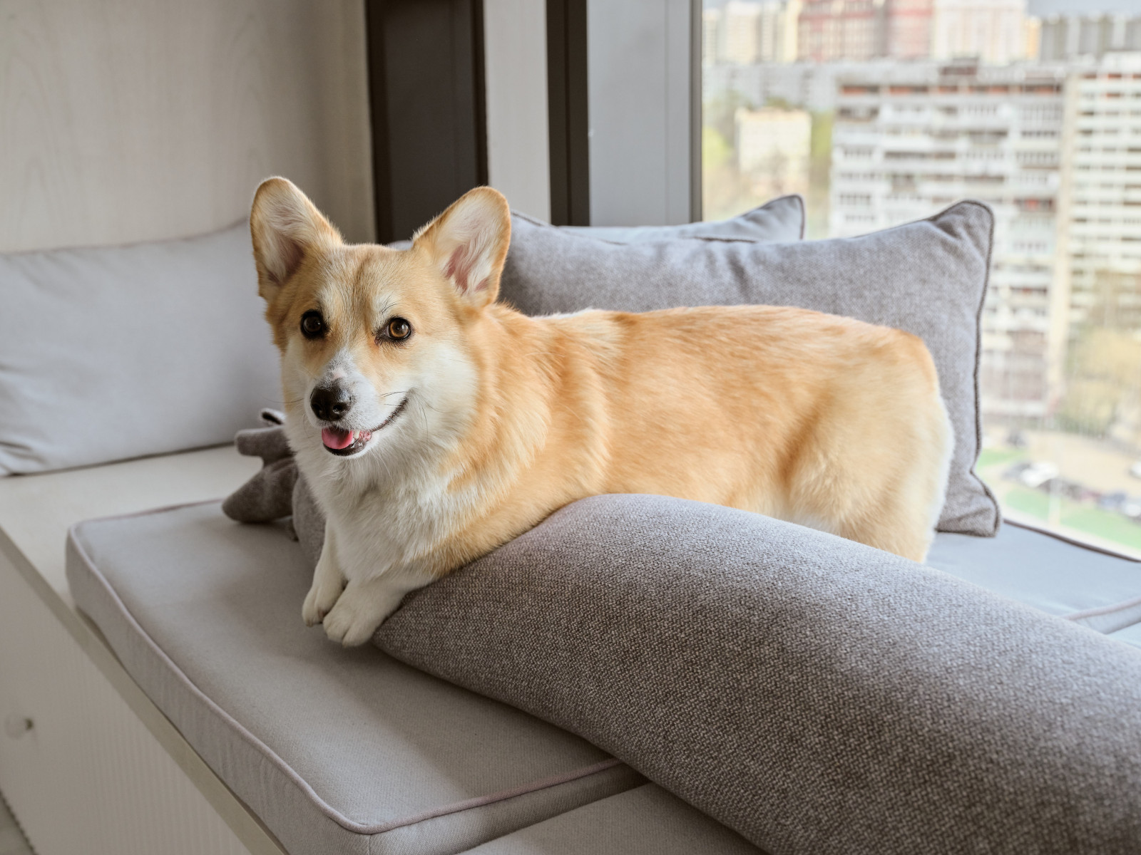 Квартира в жк Небо