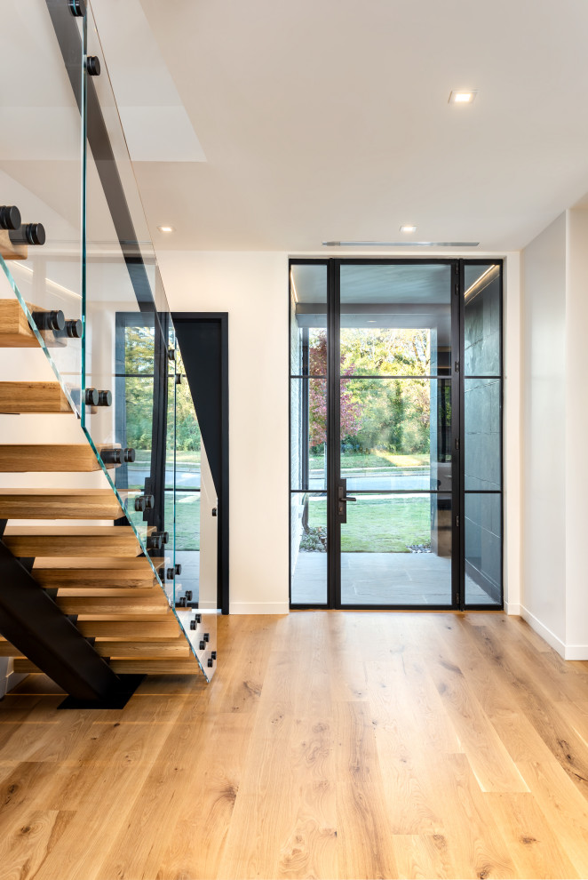 Contemporary foyer in Other with light hardwood floors, a single front door and a glass front door.