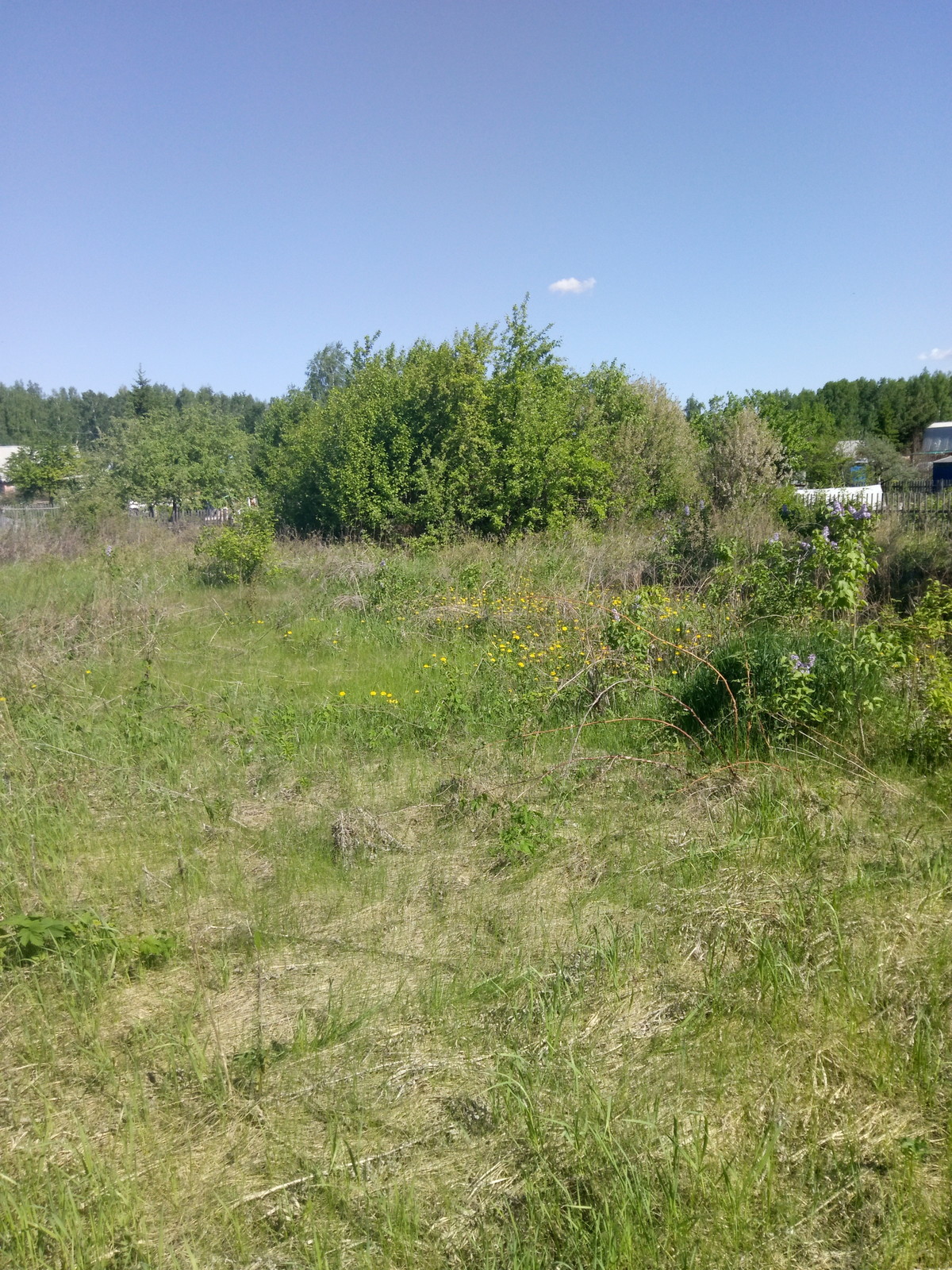 Обработка земли