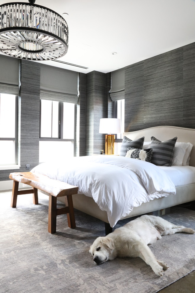 Transitional bedroom in Boston with grey walls and grey floor.