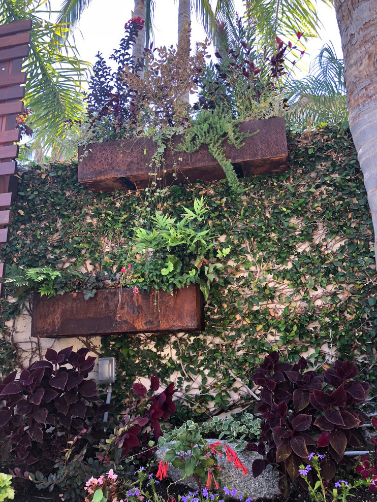 Design ideas for a mid-sized modern backyard xeriscape in Other with a vertical garden.