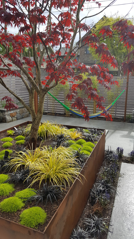This is an example of a contemporary backyard full sun garden for fall in Seattle with with raised garden bed and concrete pavers.