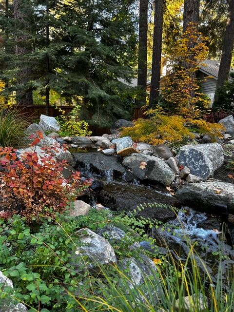 Tahoe Living